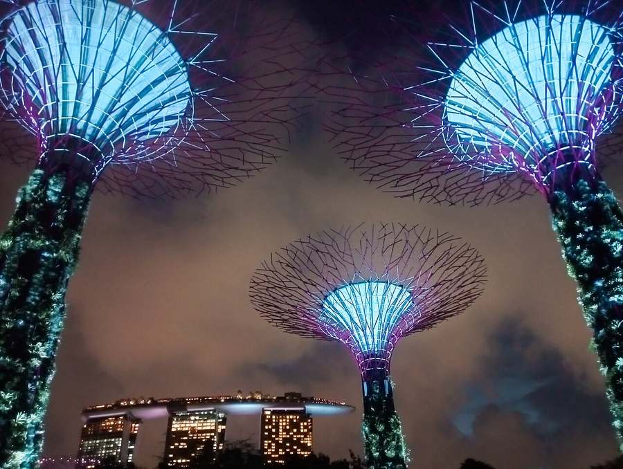 Supertree Grove at Gardens by the Bay in Singapore